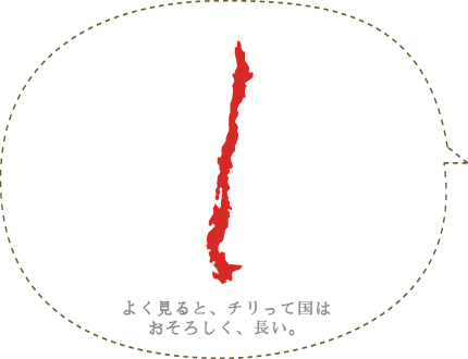 �������A�`���̃��S�B