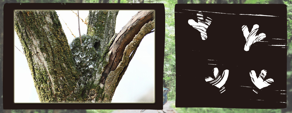 ���S����u���̑��Ճ��S�v width=