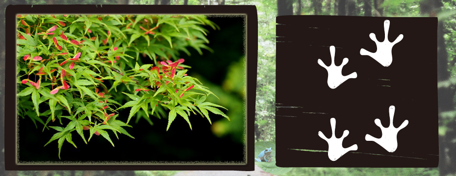 ���S����u�J�G�����Ճ��S�v width=